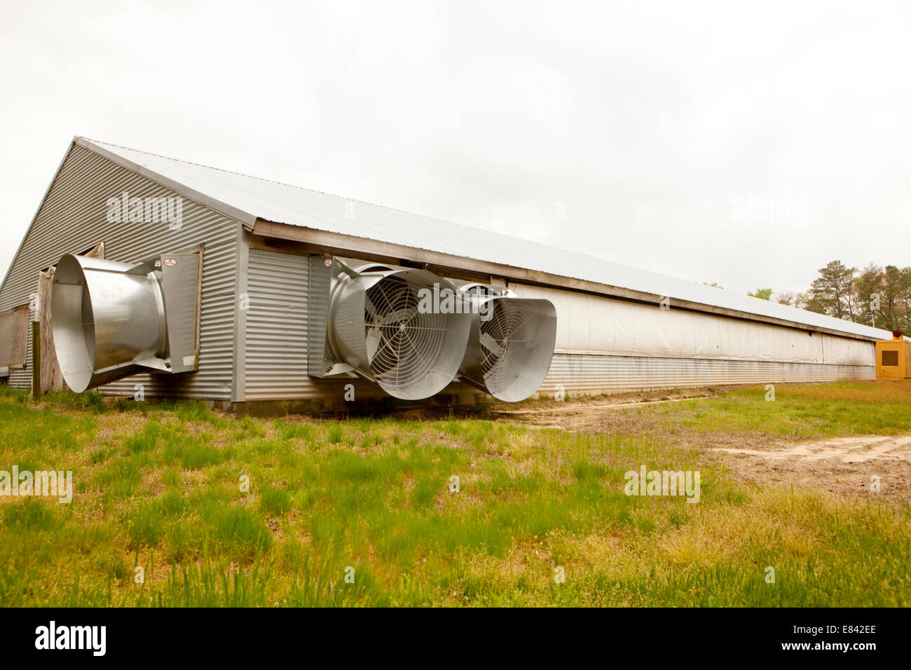 Grandi le unità aria condizionata sulla fattoria industriale capannone di pollame, Eastern Shore, Chesapeake Bay, Maryland, Stati Uniti d'America Foto Stock