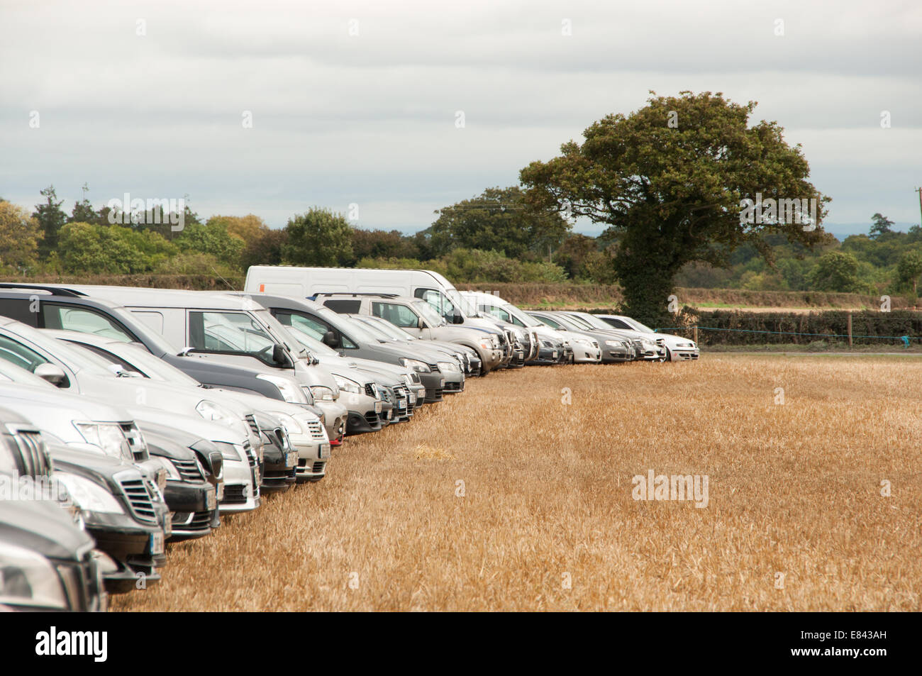 Un sacco di grigio e argento auto parcheggiate in una riga in un campo sotto un cielo grigio. A livello nazionale i campionati di aratura Irlanda 2014 Foto Stock