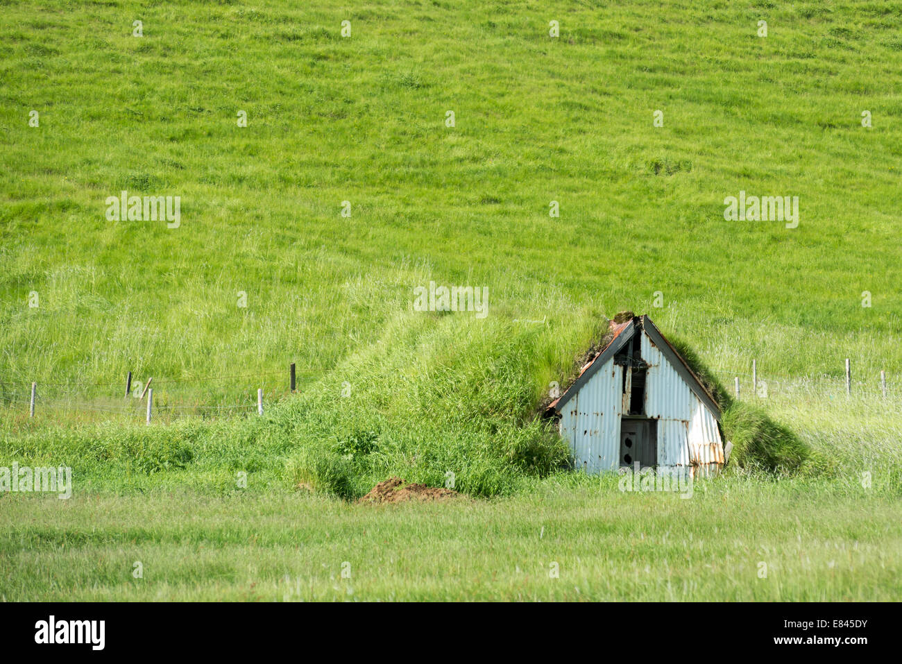 Tappeto erboso vecchia casa isolata nella campagna Islandese Foto Stock