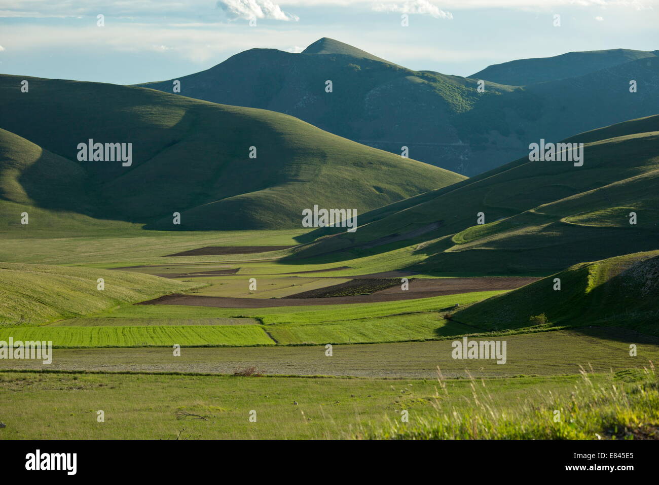 Il Piano Grande - un grande piatto verso l'interno-svuotamento semplice - in primavera, luce della sera; Parco Nazionale dei Monti Sibillini, Italia. Foto Stock