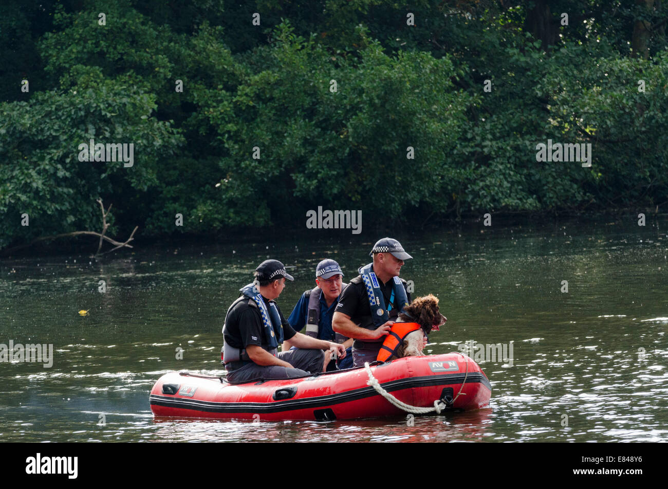 Londra, Regno Unito. Il 30 settembre, 2014. La polizia cerca il lago in Osterley Park, West London, mancante per teenager Alice lordo. Un cane di ricerca team di Powys, il Galles che è stato utilizzato per la ricerca di aprile Jones è stato portato per la ricerca di Alice. Foto Stock
