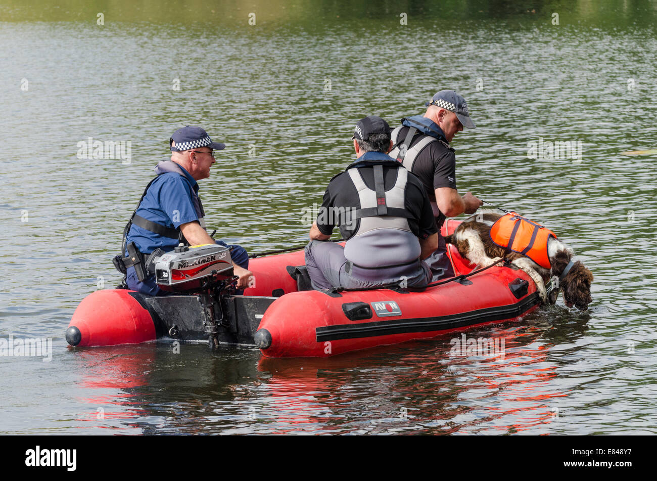 Londra, Regno Unito. Il 30 settembre, 2014. La polizia cerca il lago in Osterley Park, West London, mancante per teenager Alice lordo. Un cane di ricerca team di Powys, il Galles che è stato utilizzato per la ricerca di aprile Jones è stato portato per la ricerca di Alice. Foto Stock