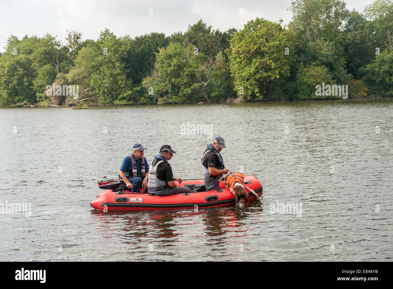 Londra, Regno Unito. Il 30 settembre, 2014. La polizia cerca il lago in Osterley Park, West London, mancante per teenager Alice lordo. Un cane di ricerca team di Powys, il Galles che è stato utilizzato per la ricerca di aprile Jones è stato portato per la ricerca di Alice. Foto Stock