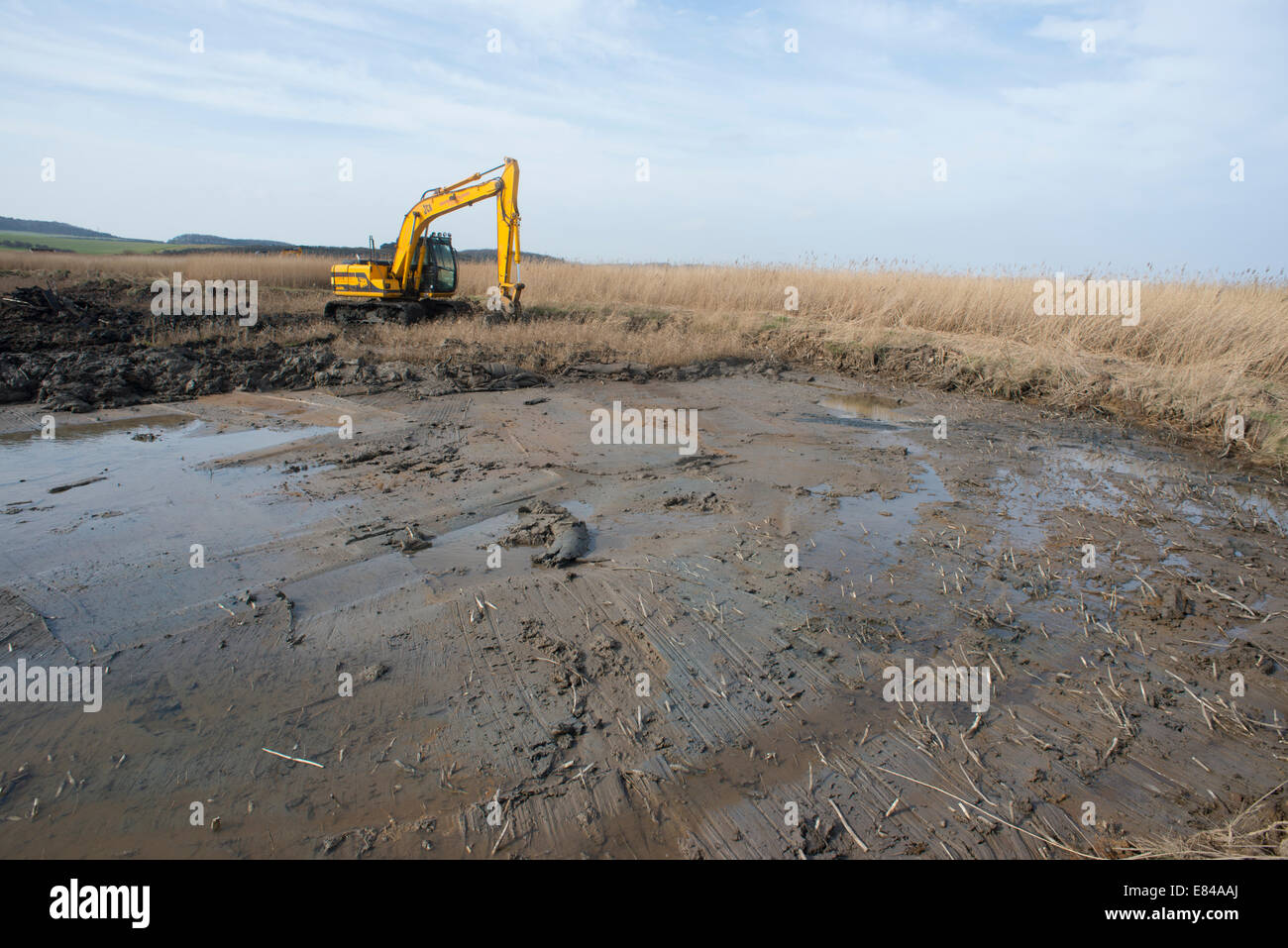 Lavori di restauro su pool di ripresa sul Papa's Marsh Cley NWT tardo inverno Foto Stock