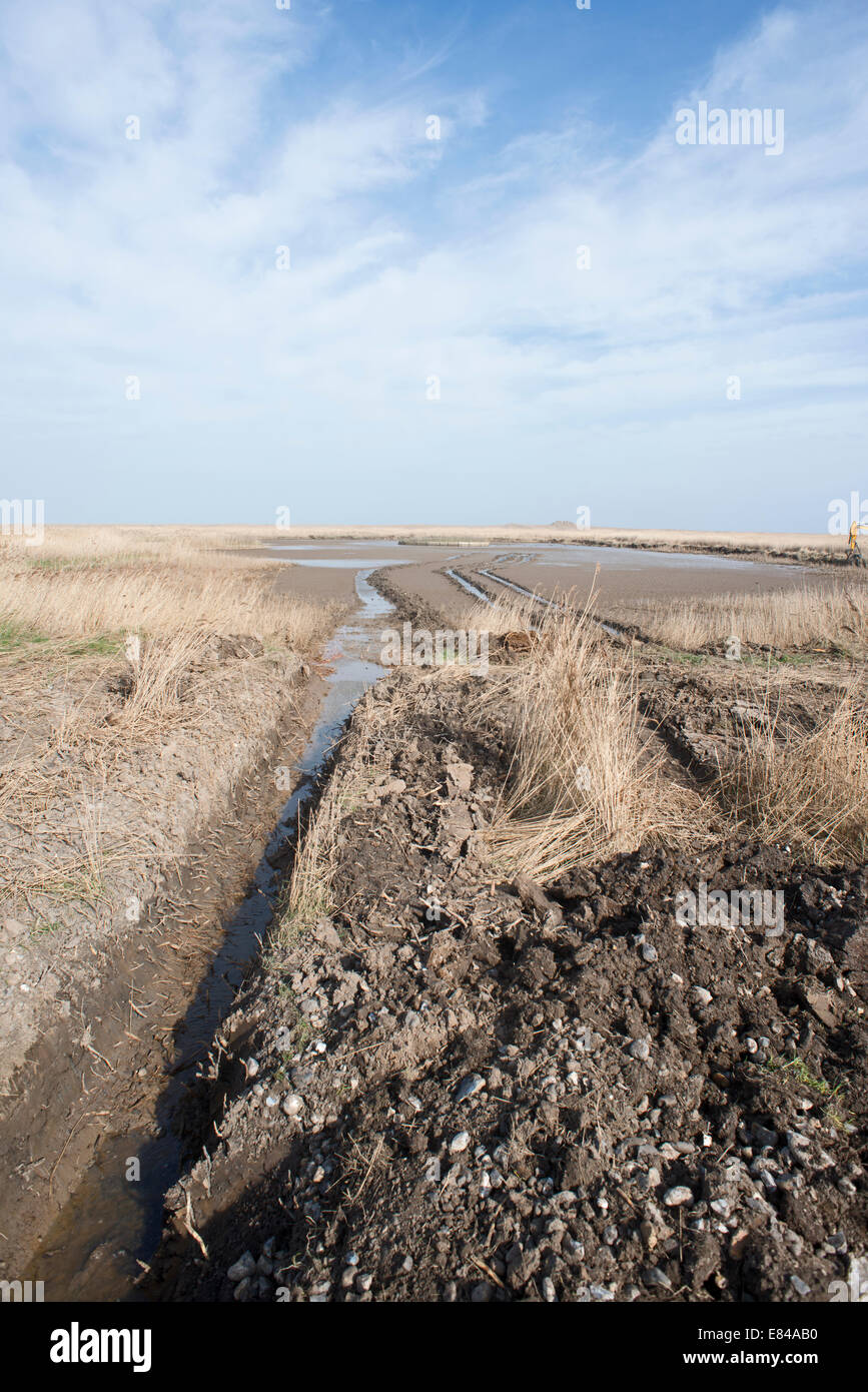 Lavori di restauro su pool di ripresa sul Papa's Marsh Cley NWT tardo inverno Foto Stock