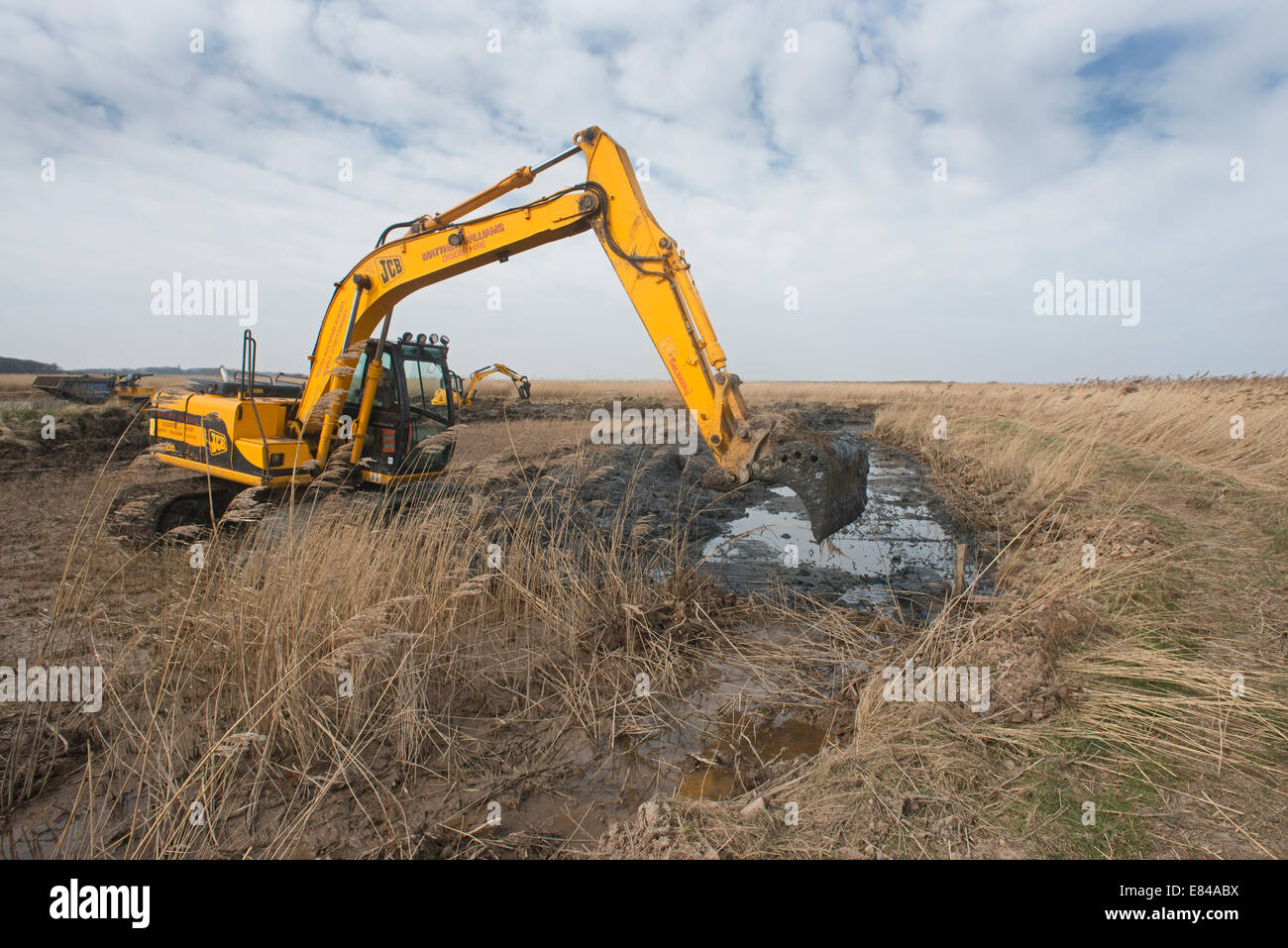 Lavori di restauro su pool di ripresa sul Papa's Marsh Cley NWT tardo inverno Foto Stock