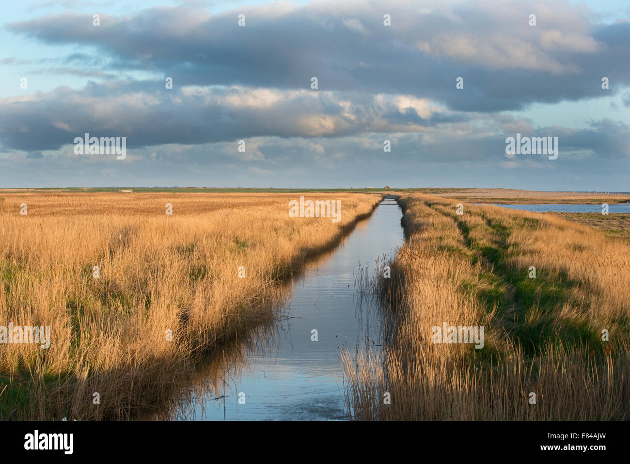 Scarico principale (nuovo taglio) Cley paludi Norfolk Wildlife Trust Reserve Norfolk Foto Stock