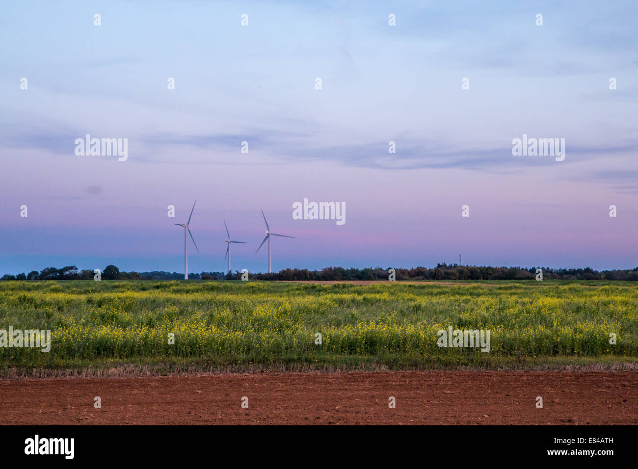 Le turbine eoliche al tramonto Foto Stock