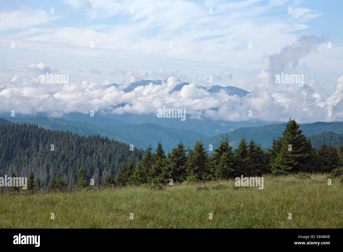 Paesaggio di montagna, Orientale Carpazi, vista da sopra Foto Stock