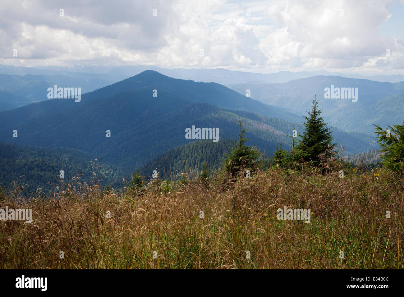 Paesaggio di montagna, Orientale Carpazi, vista da sopra Foto Stock