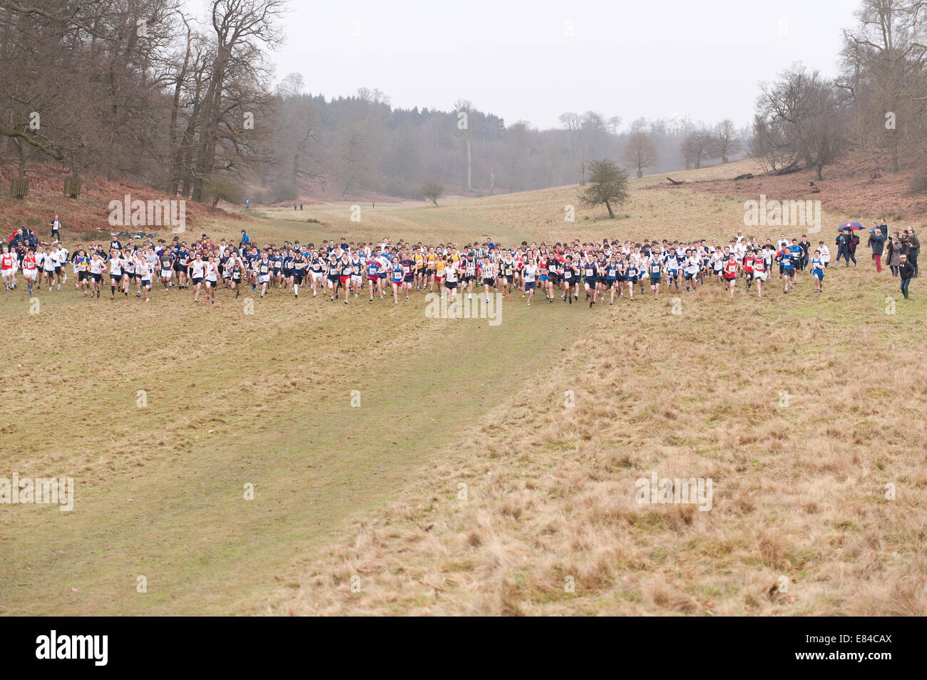 L annuale Knole Run Sevenoaks School cross country gioventù 15 16 17 anni 6 miglio a correre in squadre dura gara endurance a partire Foto Stock