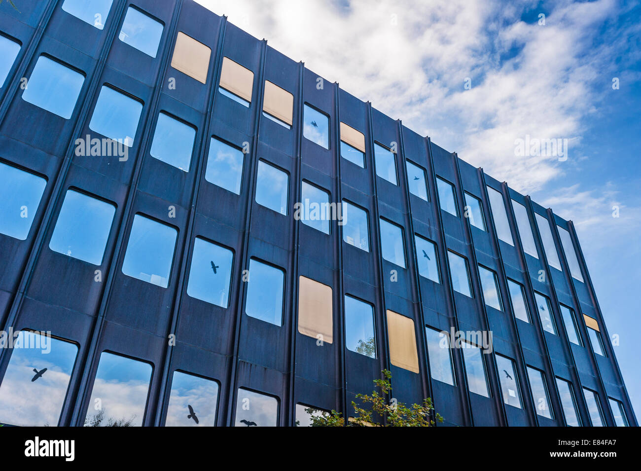 Architectural astratta. Il lato di un edificio per uffici con bird spaventando sagome bloccato per alcune delle finestre. Foto Stock
