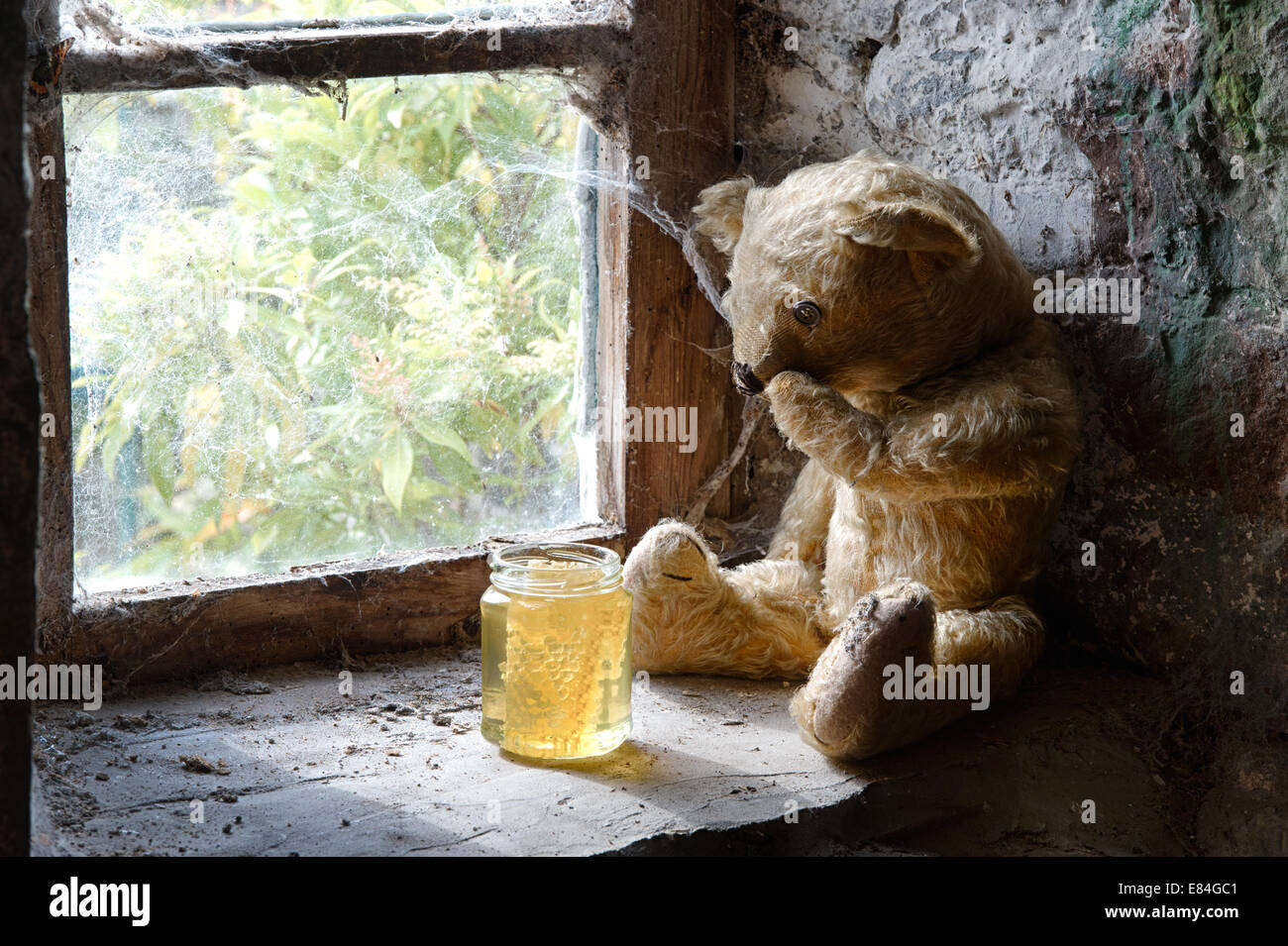 Threadbare uno Eyed orsacchiotto di peluche su un vecchio davanzale guardando un vasetto di miele Foto Stock