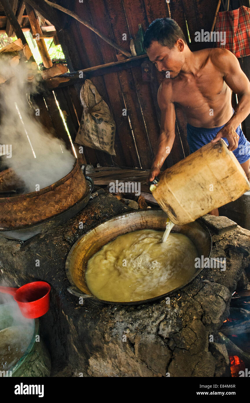 L'uomo puttingsSugar palm acqua per cucinare al Sugar Palm in fabbrica Banyuwangi Sukamade vicino Oriente, Java, Indonesia Foto Stock