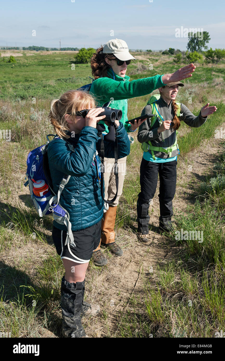 Tre giovani donne bushwhack attraverso miglia di prairie, la raccolta dei dati per gli avventurieri e scienziati per la conservazione. Foto Stock