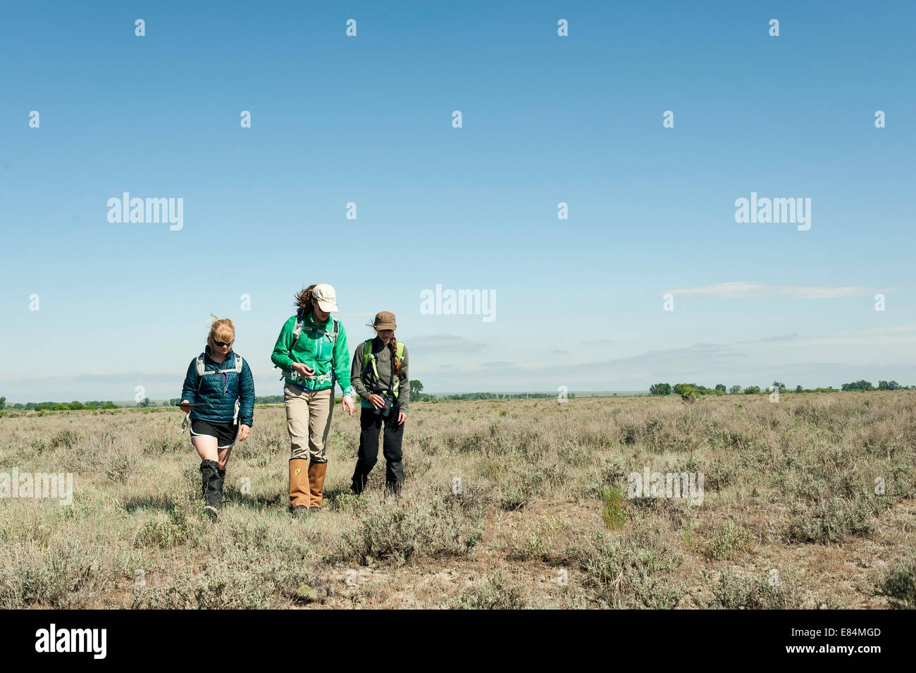 Tre giovani donne bushwhack attraverso miglia di prairie, la raccolta dei dati per gli avventurieri e scienziati per la conservazione. Foto Stock