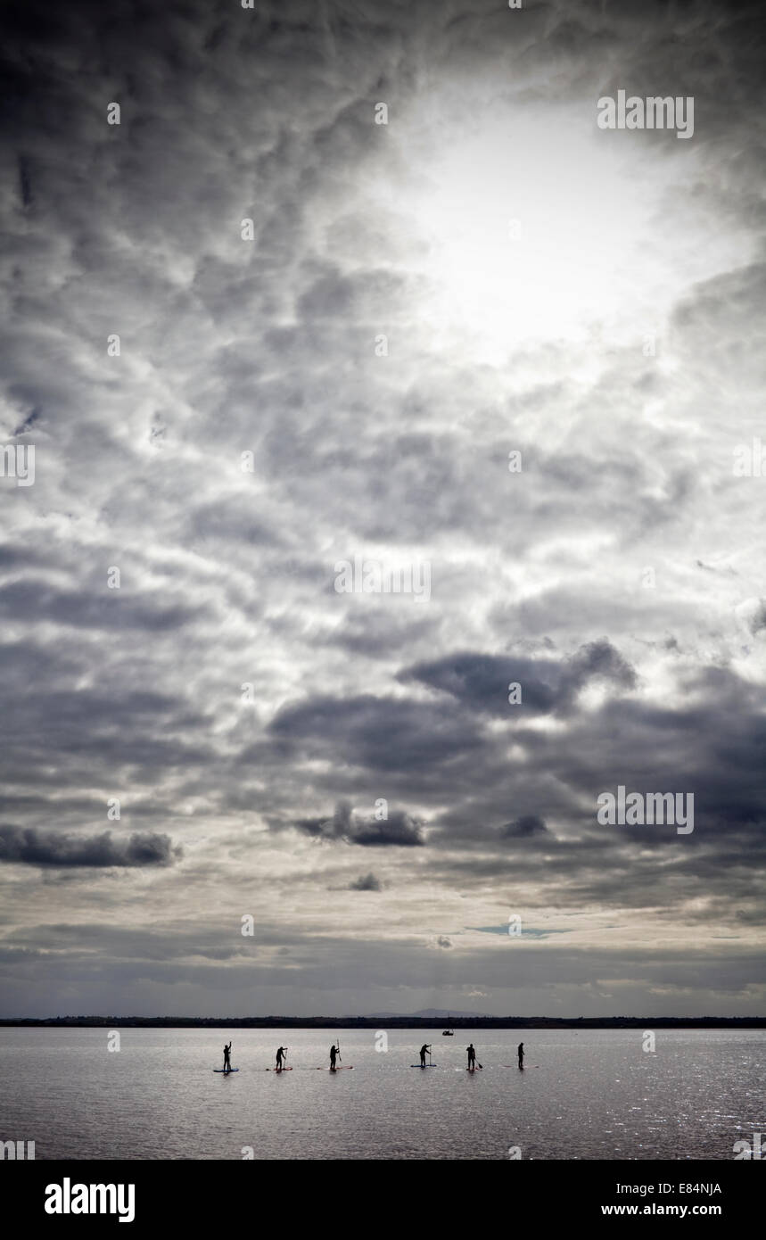 Stand Up Paddle Boarders su Strangford Lough, vicino a Abbazia di grigio, County Down, Irlanda del Nord Foto Stock