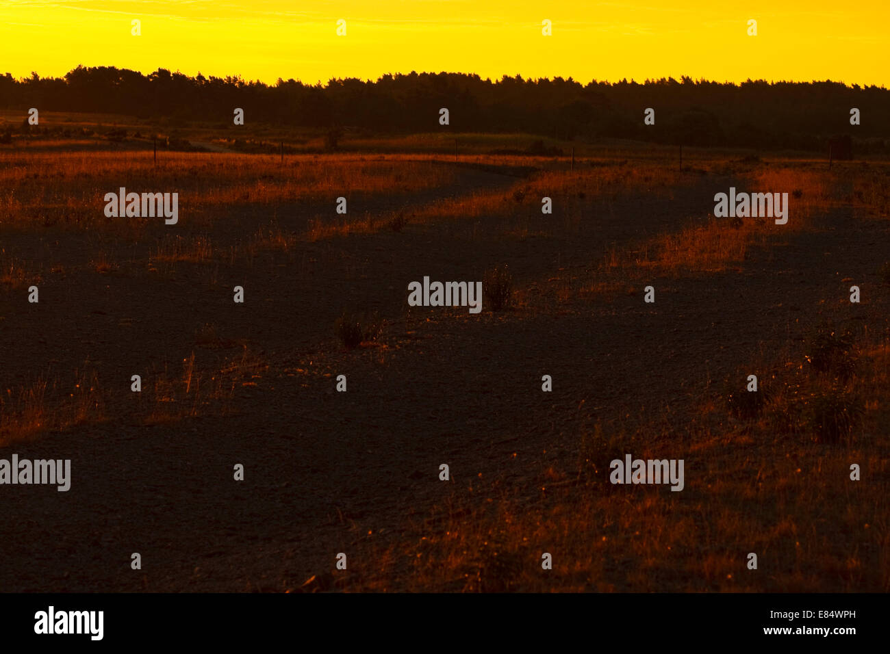 Spiaggia di ciottoli presso il villaggio di pescatori Helgumannen presso sunrise vicino Langhammars su Fårö, Gotland, Svezia e Scandinavia Foto Stock