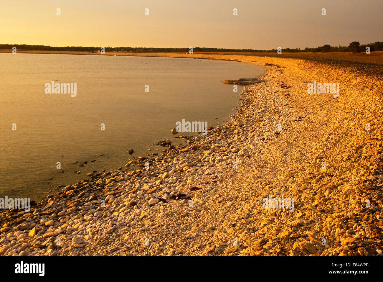 Spiaggia di ciottoli presso il villaggio di pescatori Helgumannen presso sunrise vicino Langhammars su Fårö, Gotland, Svezia e Scandinavia Foto Stock