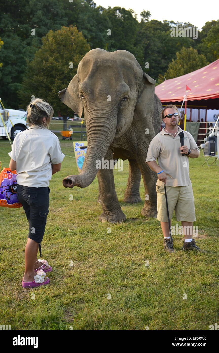 Old Bethpage, New York, Stati Uniti d'America. Il 28 settembre 2014. Minnie 8.000 pound dell' elefante africano è con il suo trainer presso l'Elefante mostrano, con la sala delle esposizioni in background, all'172nd Long Island equo, sei giorni di autunno county fair tenuta alla fine di settembre e i primi di ottobre. Un evento annuale dal 1842, il vecchio-time festival è ora tenuto a una ricostruzione di una fiera al vecchio villaggio di Bethpage restauro. Foto Stock