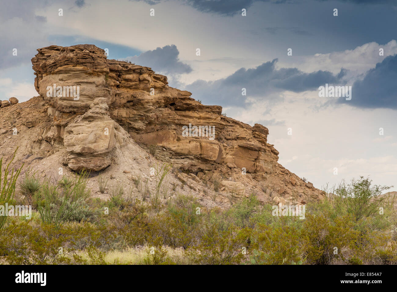 Hoodoos area nel Parco nazionale di Big Bend. Foto Stock