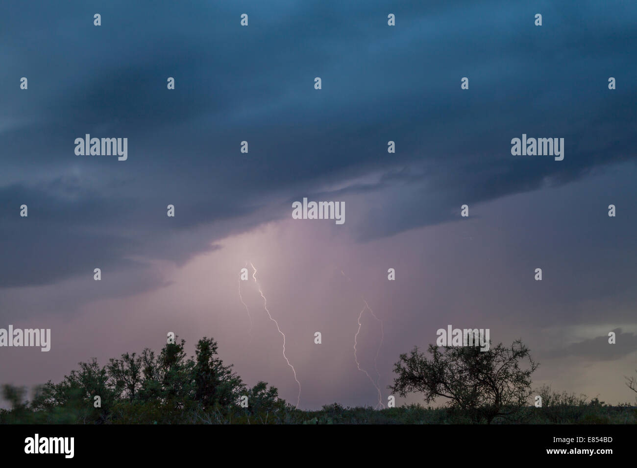 Nuvole di tempesta e fulmini in piroga pozzi nel Parco nazionale di Big Bend. Foto Stock