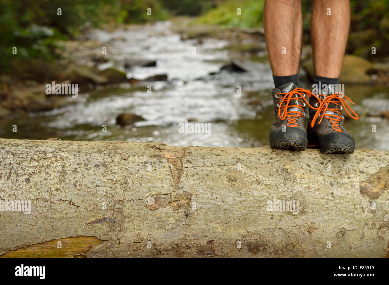 Scarpe da trekking gambe sul tronco di albero, sentiero di montagna. L'uomo  gli escursionisti scarponi da escursione in primo piano con il fiume di  montagna in background. Fe maschio Foto stock -