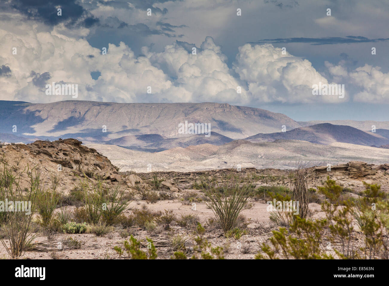 Nuvole temporalesche lo sviluppo oltre il deserto nel Parco nazionale di Big Bend. Foto Stock