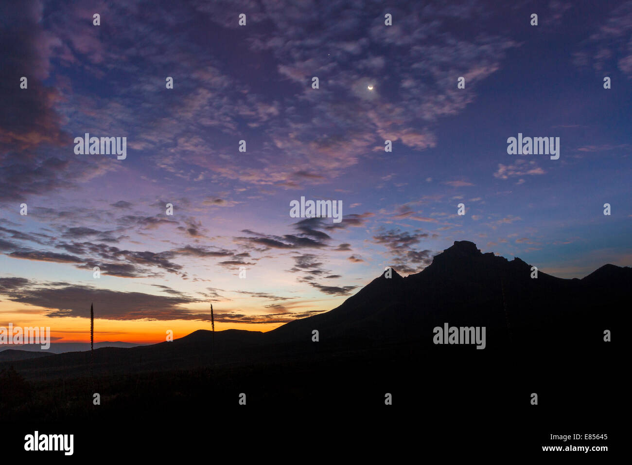 Sunrise nel Parco nazionale di Big Bend. Foto Stock