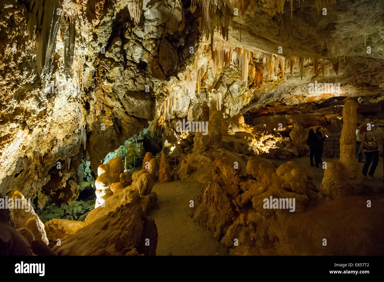 Grotta di stalattiti, Borgio Verezzi Grotte Borgio Verezzi, Provincia di Savona, Liguria, Italia Foto Stock