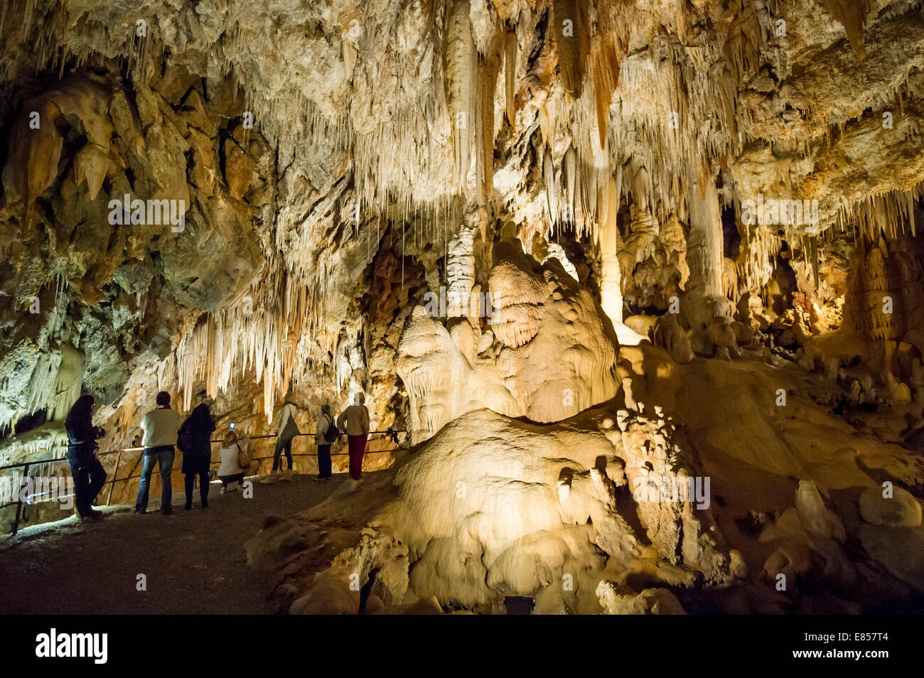 Grotta di stalattiti, Borgio Verezzi Grotte Borgio Verezzi, Provincia di Savona, Liguria, Italia Foto Stock