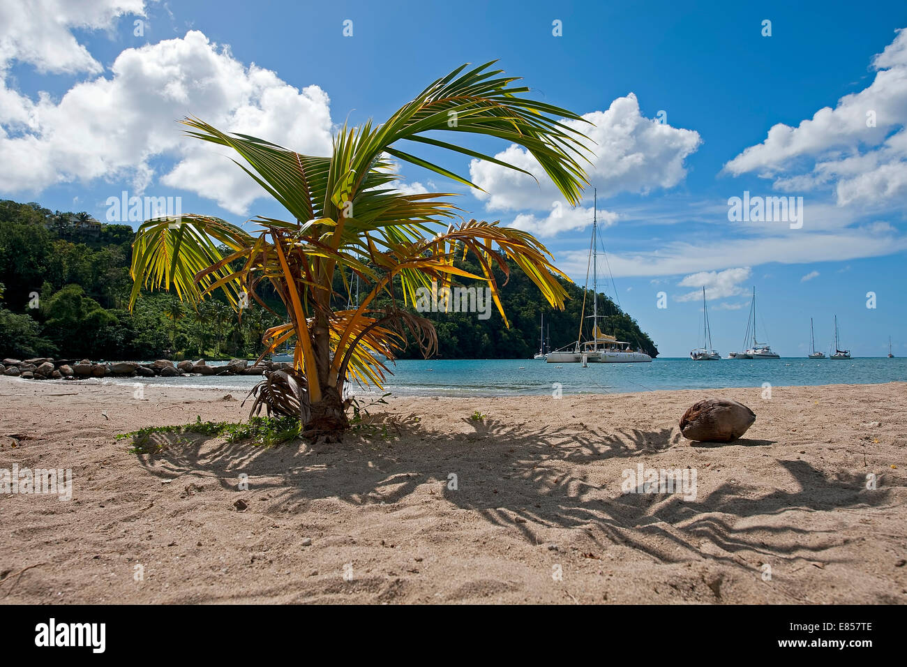 Spiaggia, Marigot Bay, Castries, Saint Lucia Foto Stock