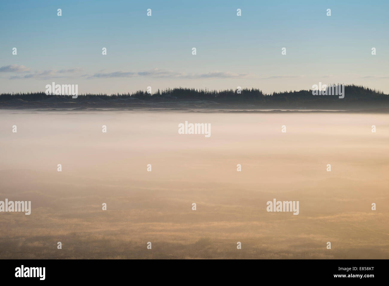 La nebbia oltre le dune e brughiera, Henne, regione a sud della Danimarca, la Danimarca Foto Stock