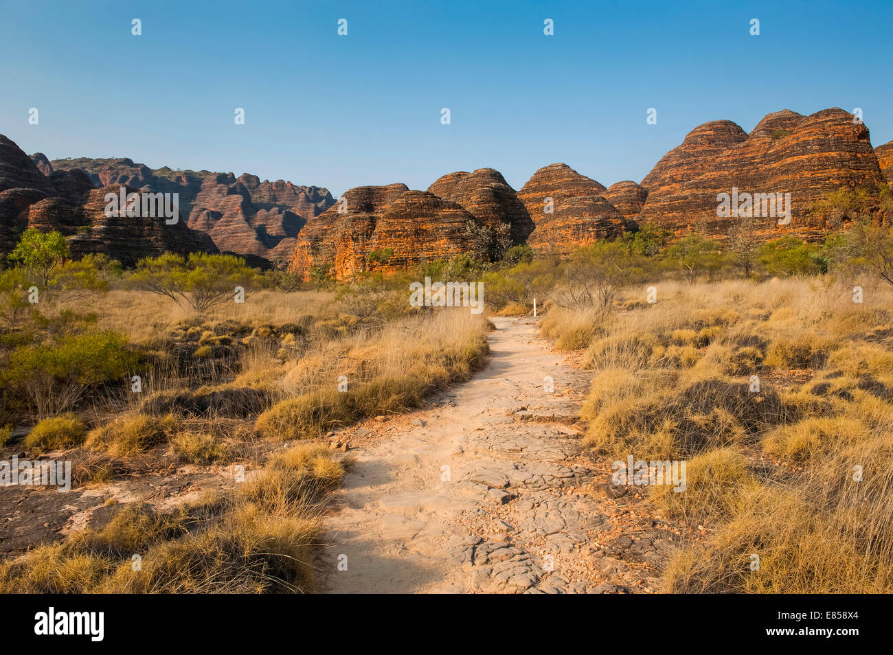 Pasticciare Bungles, alveare a forma di torri di pietra arenaria, Parco Nazionale di Purmululu, Sito Patrimonio Mondiale dell'UNESCO, Kimberleys orientale Foto Stock