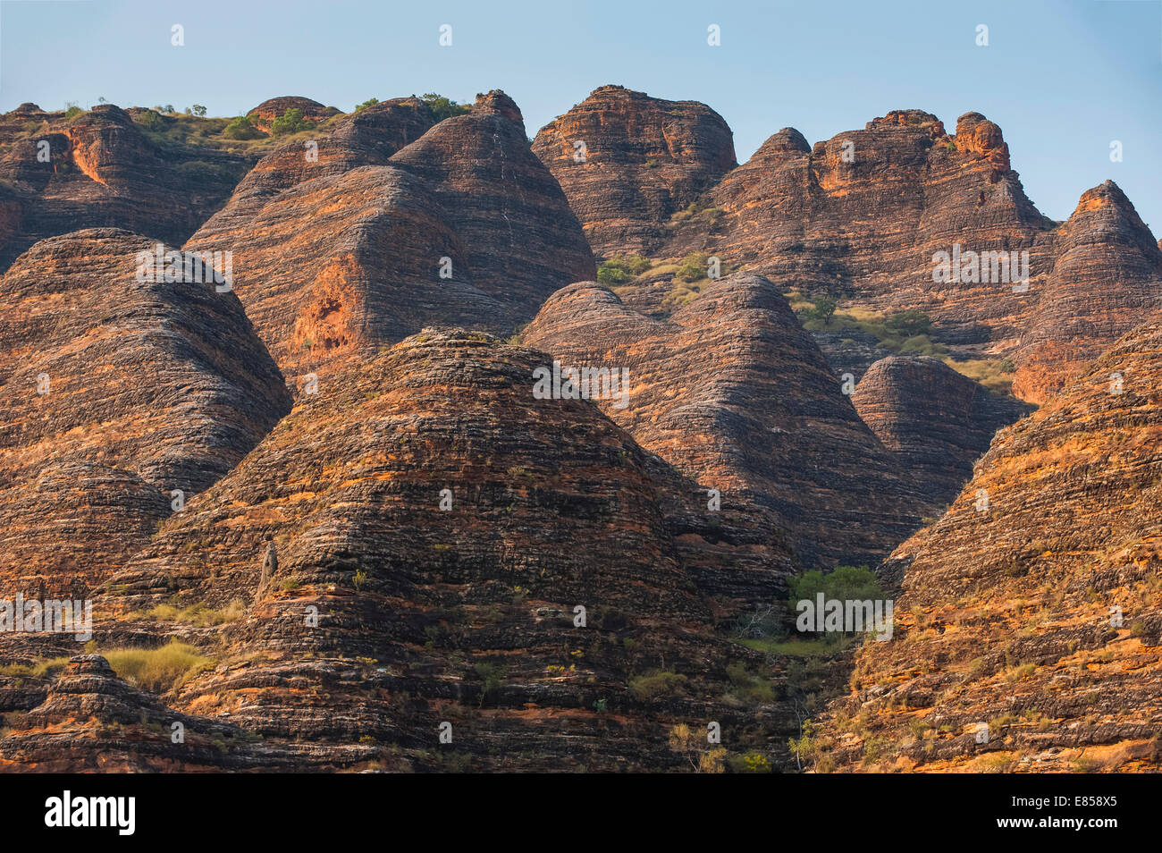 Pasticciare Bungles, alveare a forma di torri di pietra arenaria, Parco Nazionale di Purmululu, Sito Patrimonio Mondiale dell'UNESCO, Kimberleys orientale Foto Stock