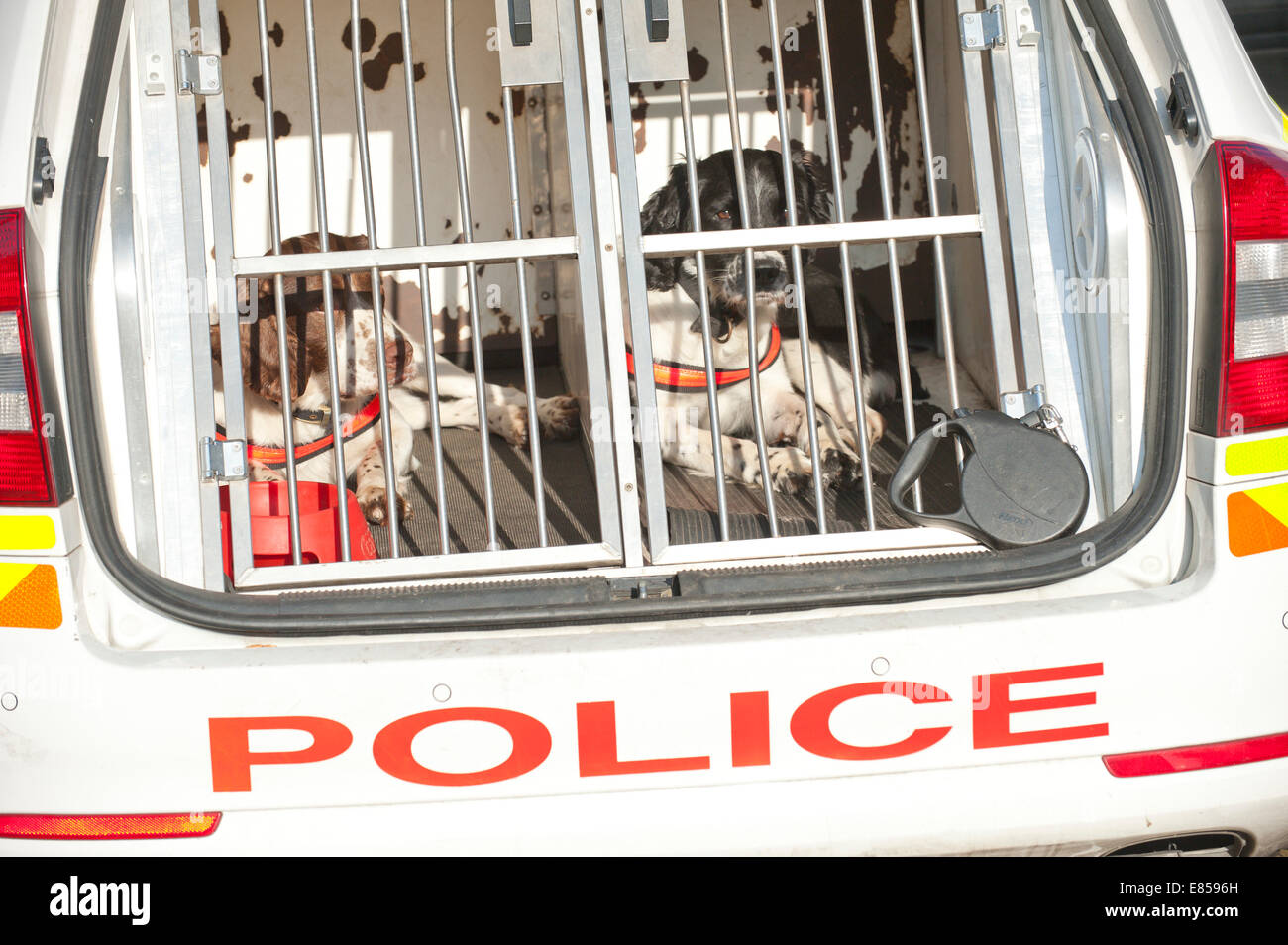 Birmingham, West Midlands, Regno Unito. 30 Settembre, 2014. La polizia cani addestrati sono visti in Broad Street il terzo giorno del congresso del partito conservatore. Credito: Graham M. Lawrence/Alamy Live News. Foto Stock