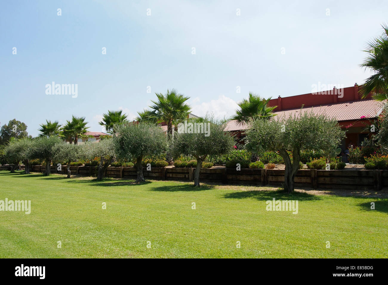 Giardino verde prato Foto Stock