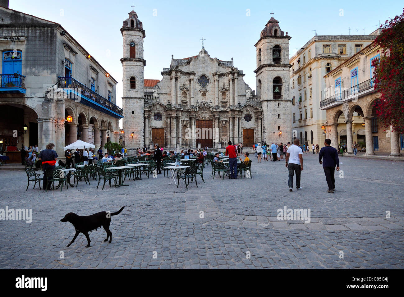 Plaza de la Catedral e la Catedral de San Cristobal Havana Cuba Foto Stock