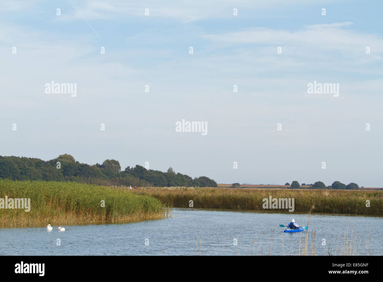 Uomo in canoa sul fiume Alde in Snape Maltings in Suffolk Foto Stock