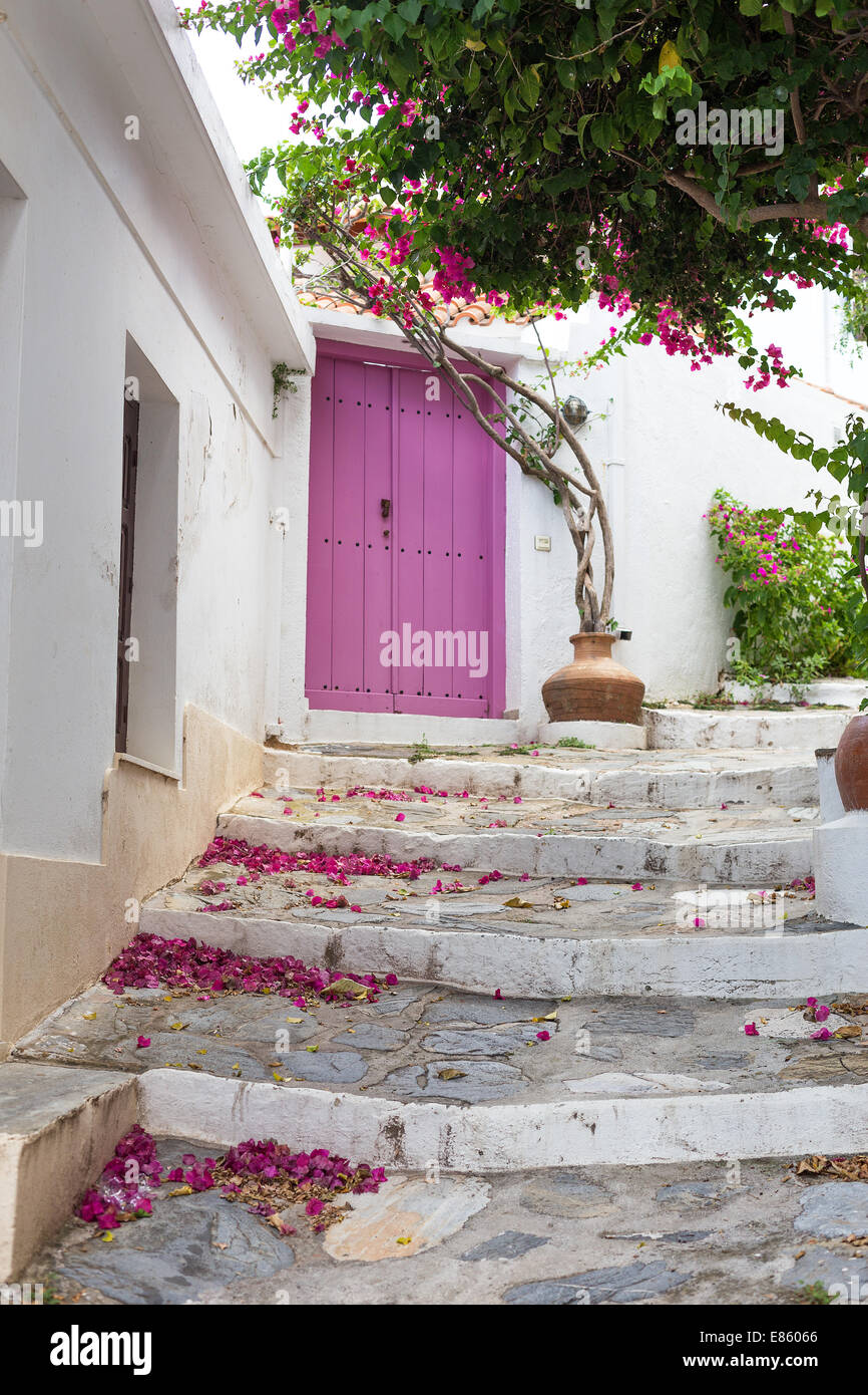 Porta Rosa a Skopelos, Grecia travel Foto Stock