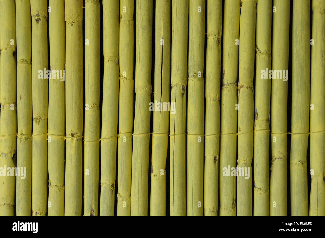 Rami di bambù recinzione decorativo astratto sfondo di legno. Foto Stock