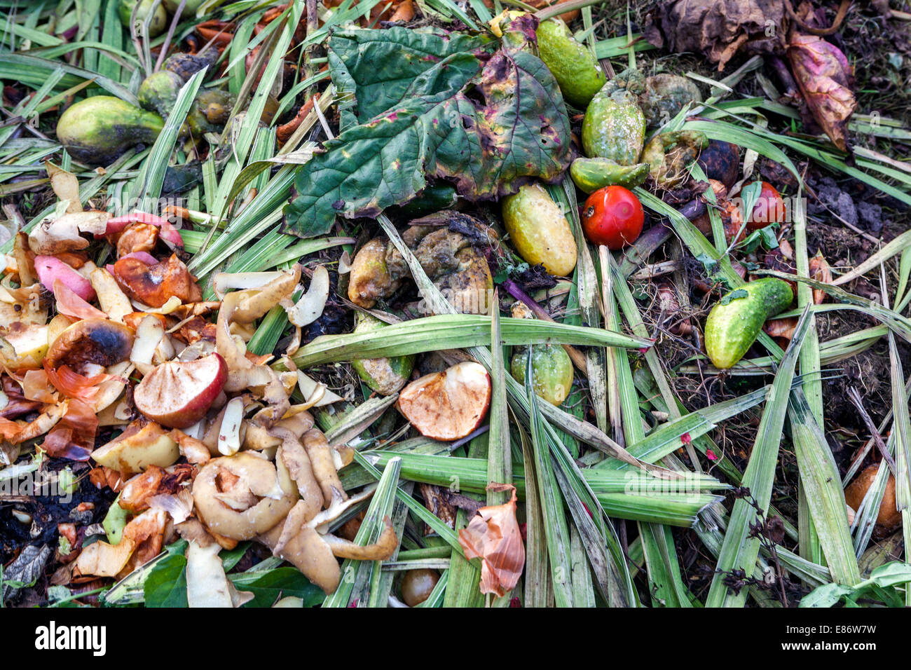 Cumulo di compost da giardino, rottami da cucina per compostaggio, biomassa biologica, rifiuti Foto Stock