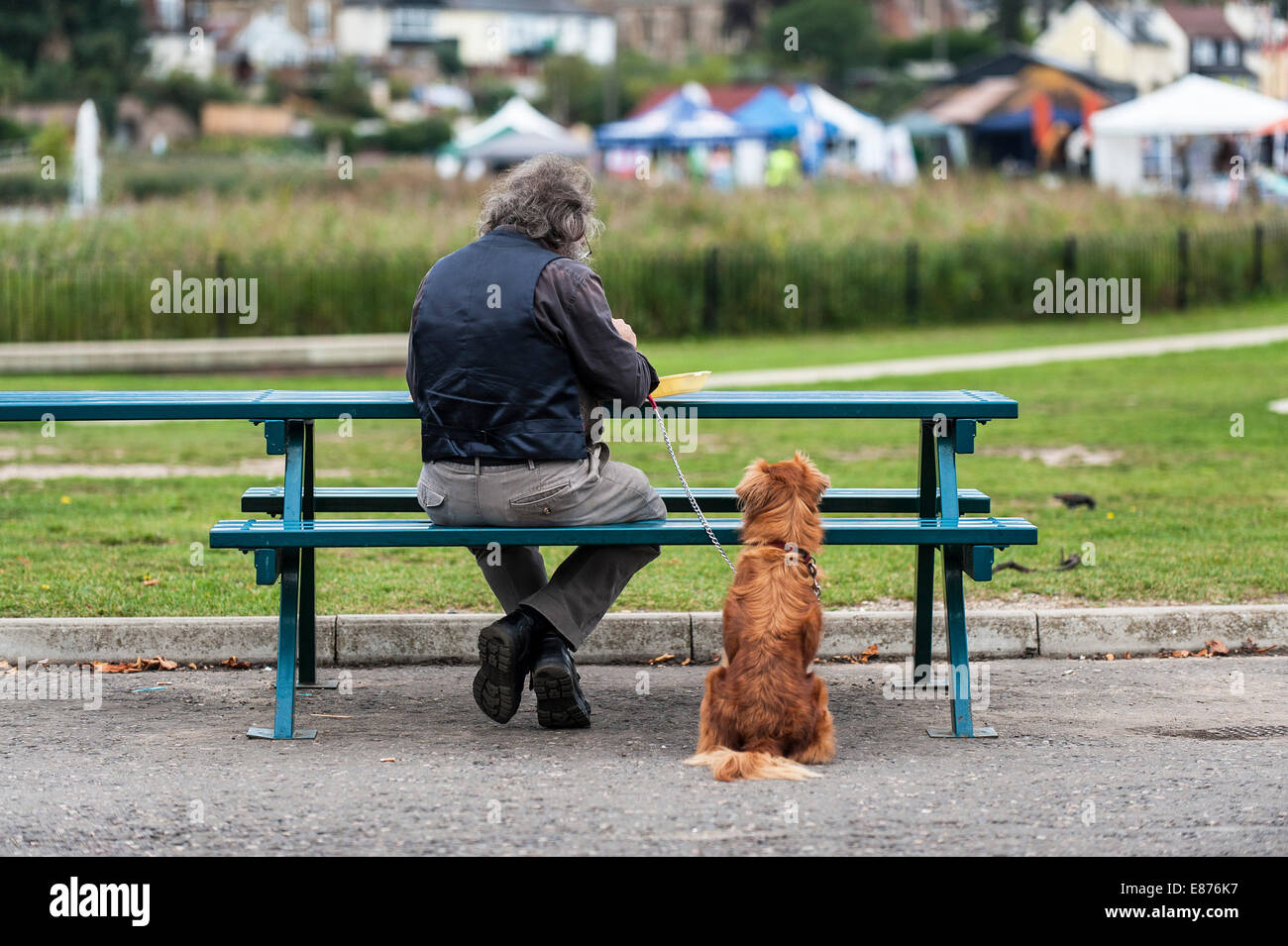 Un cane seduto accanto al suo proprietario. Foto Stock