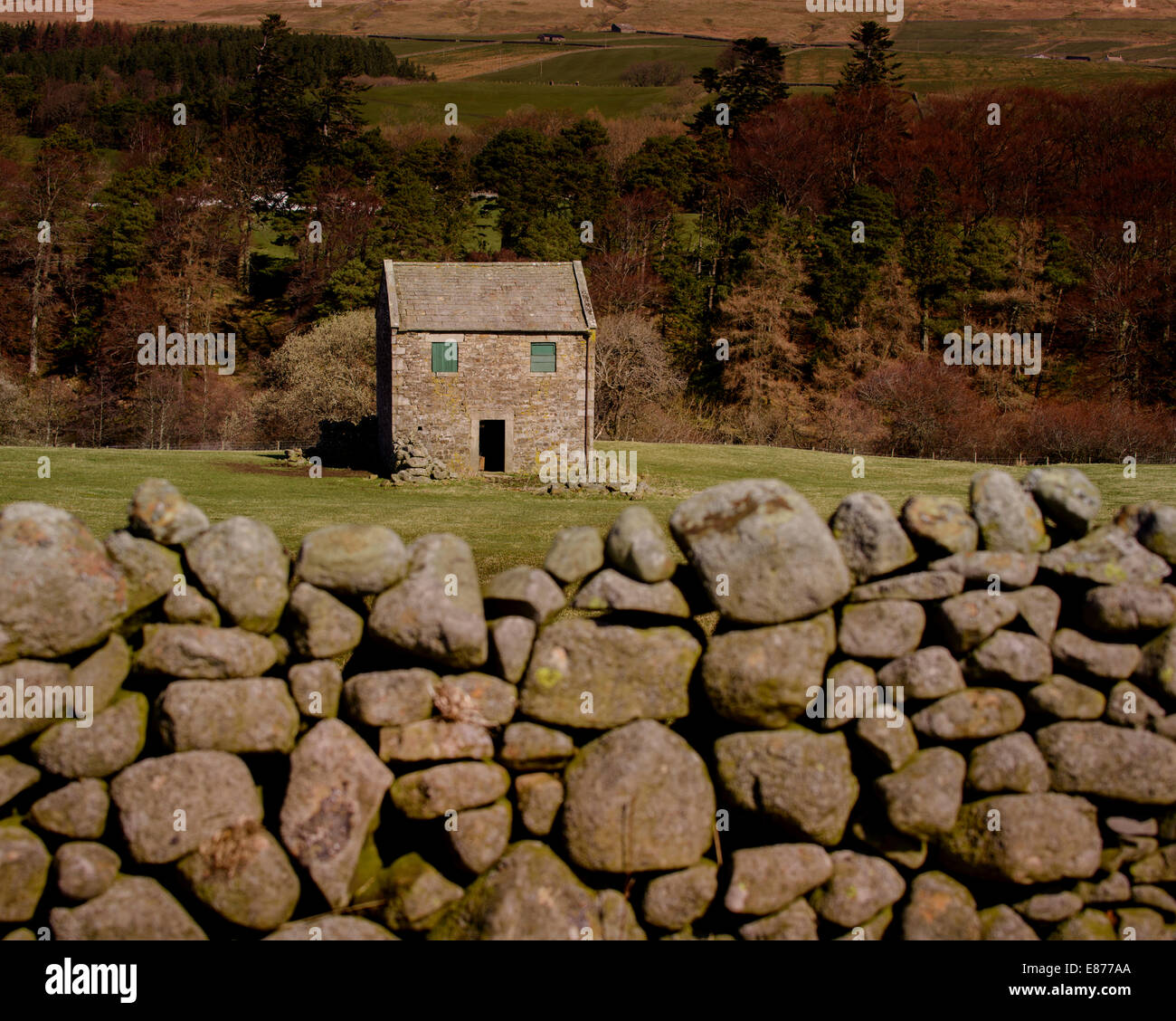 Un cottage in pietra adagiato sulle colline del North Pennines con un secco muro di pietra in primo piano. Foto Stock