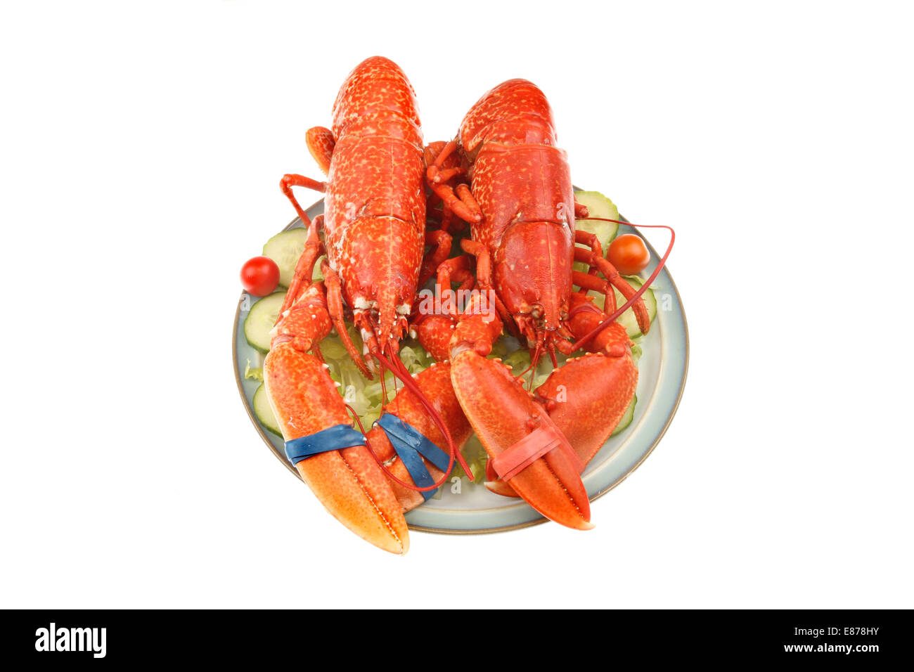 Due interi aragoste cotte su un letto di insalata su una piastra isolata contro bianco Foto Stock