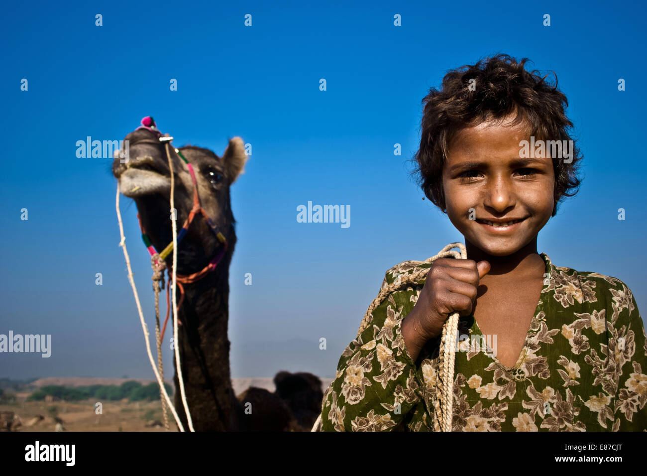 Ragazza con un cammello a Pushkar fair, Pushkar, Ajmer, Rajasthan, India Foto Stock