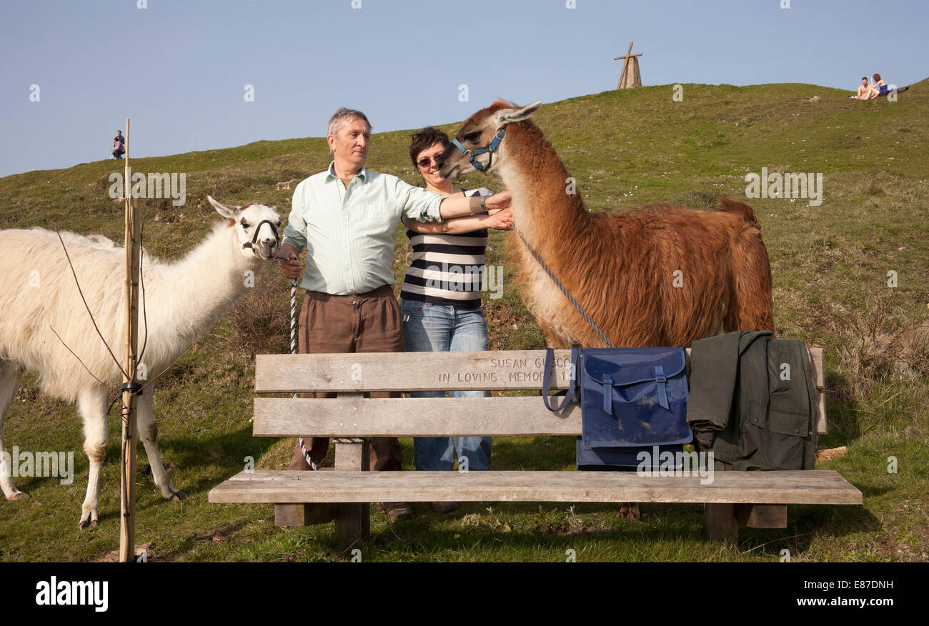 Due turisti che appoggiano con le loro llama Foto Stock