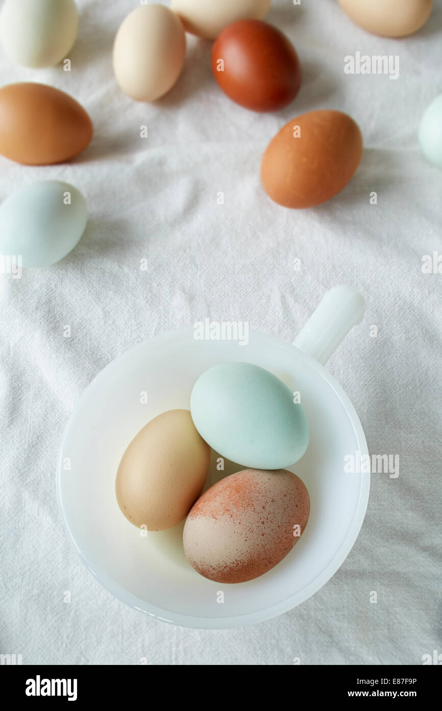 Azienda agricola biologica fresco uova di pollo in una ciotola bianco Foto Stock