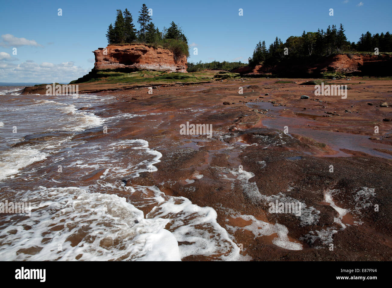 Baia di Fundy, Burncoat testa, ha riferito di avere più grandi maree del mondo, Nova Scotia, Canada Foto Stock