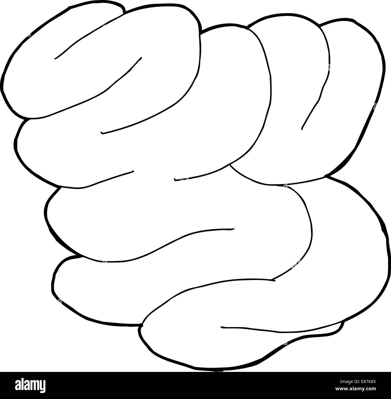 Disegnata a mano intestino umano cartoon contorno Foto Stock